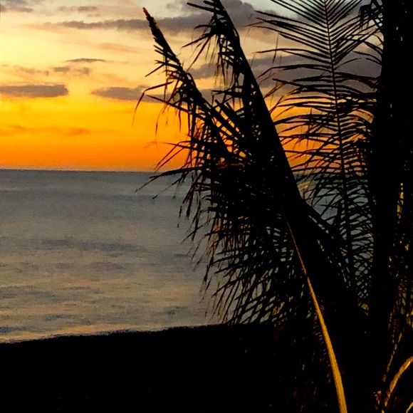 Meet your Posher, Heather - Picture 1 of 1